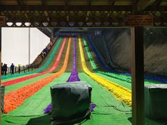 -梦幻奥陶纪景区