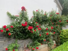 -金州副都统衙门博物馆