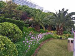 -北外滩滨江绿地