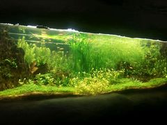 -奥斯卡新都汇影城(终级银幕)