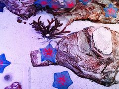 -沈阳海洋探索中心