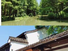 -西溪国家湿地公园