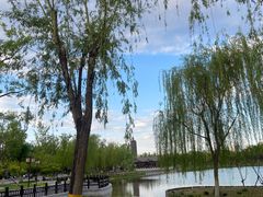 -西海子公园