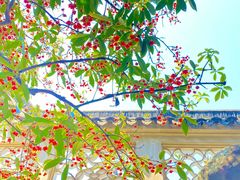 -东山雕花楼