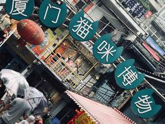 -猫咪博物馆(顶澳仔猫街店)