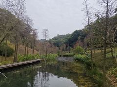 -云溪植物园