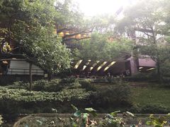 -香港大学