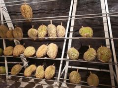 -都念榴莲·城市榴莲