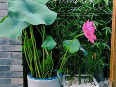 -和木The Home·私厨(鼓楼店)
