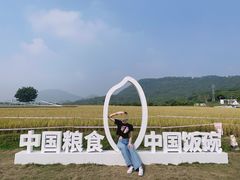 -艾米稻香小镇