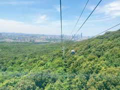 -紫金山山顶公园