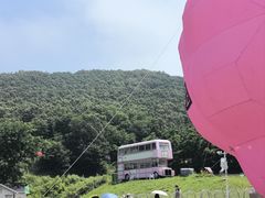 -金石滩蓝莓谷庄园