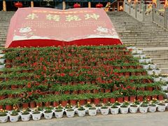 -大槐树寻根祭祖园