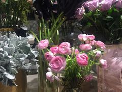 -BEAST野兽派(上海浦东嘉里城店)