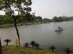 -宜兴龙背山森林公园