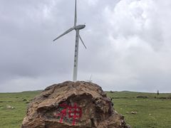 -空中草原
