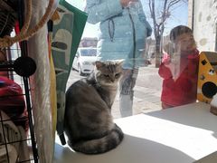 -平行世界·猫咖(首经贸店)