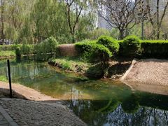 -长白岛森林公园