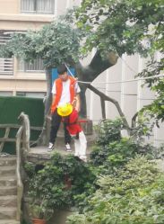 -可可天空农场(中大店)