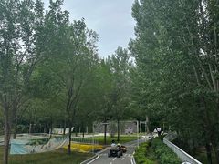 -西部长青自然儿童乐园