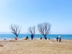 -观澜小洱海