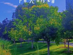 -西海子公园