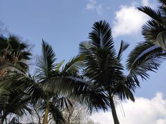 -北湖公园