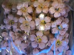 -宝圆斋清真糕点·蛋糕