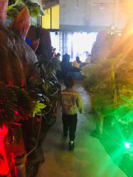 -恐龙探索乐园(磁器口店)