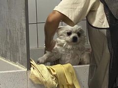 -派特宠物医院(圆融广场店)