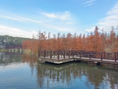 -同里国家湿地公园