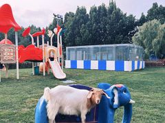 -廊坊固安福朋喜来登酒店