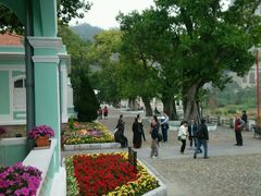 android_upload_pic-龙环葡韵住宅式博物馆