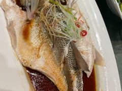 -樽宴酒楼·地道川菜·品质宴请