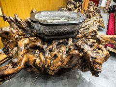 -大槐树寻根祭祖园