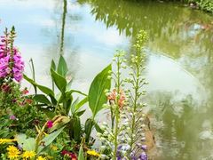 -人民公园(罗湖区)