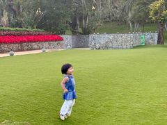 -海南清水湾莱佛士酒店