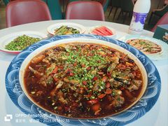 -新概念来凤鱼(璧山店)