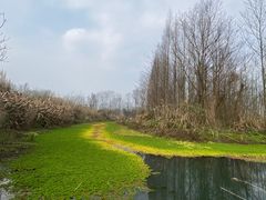 -桤木河湿地公园