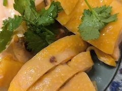 -九斤黄三黄鸡专卖店