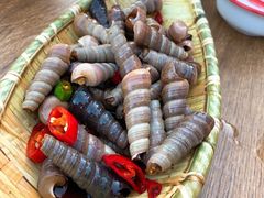 -永红源啤酒·烧烤·海鲜·大排档(青特城店)