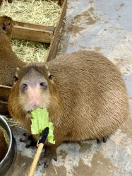 -Zoolung Zoolung动物主题公园(海信广场店)