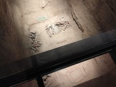 -汉景帝阳陵博物院