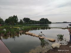 -渤公岛生态公园