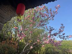 -朱仙镇启封故园景区