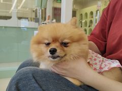 -怪兽屋·羊驼·猫咖·狗咖(俊华广场店)