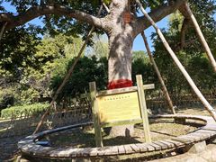 -福建鲤鱼洲酒店