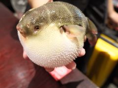 -永安鱼庄·镇江菜(东吴路店)