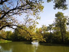 -西溪国家湿地公园