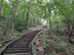 -南山风景名胜区